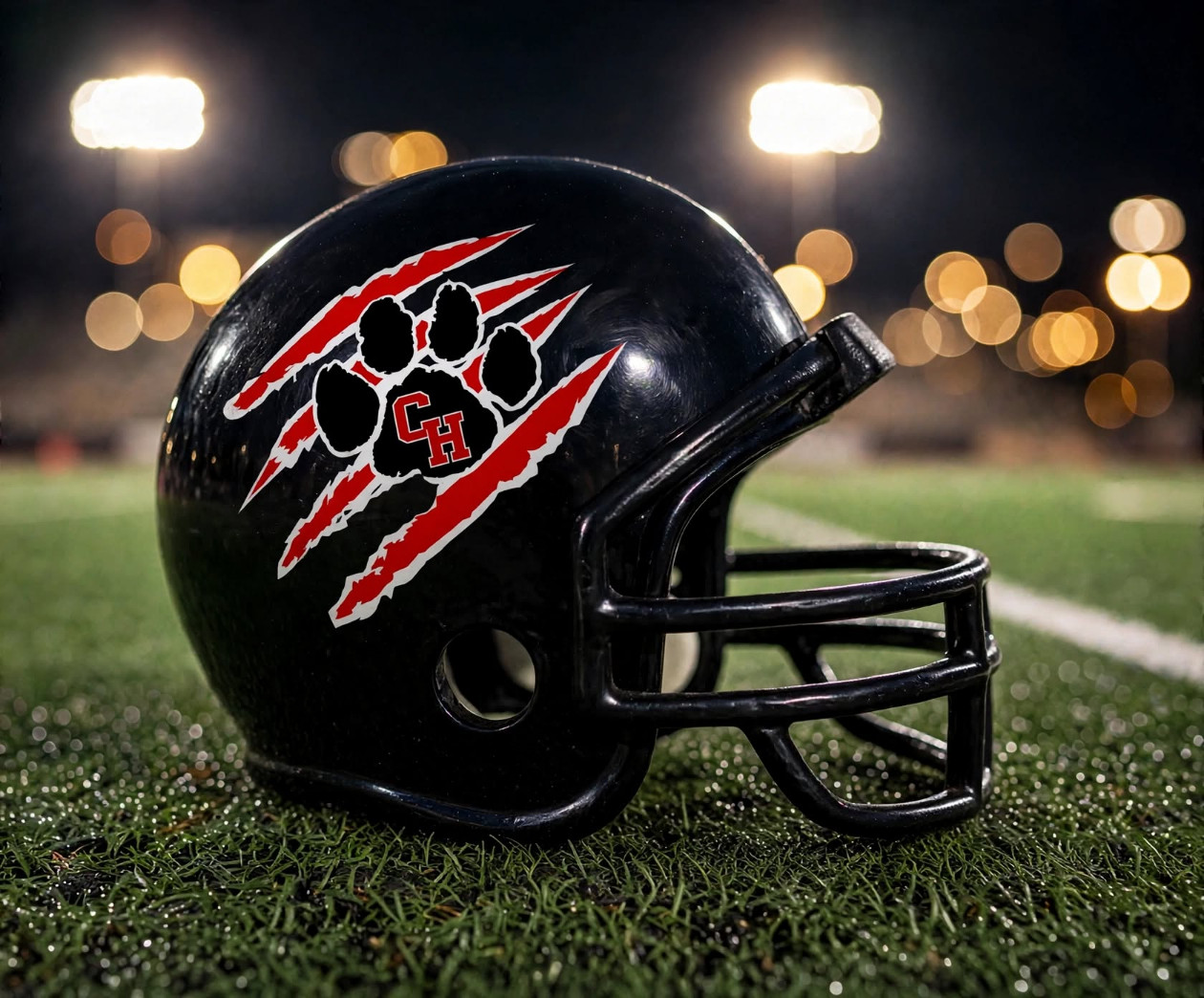 Colleyville Heritage Panthers custom spirit helmet