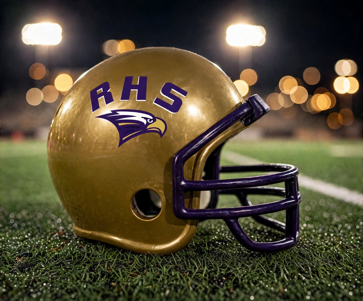 Richardson Eagles custom spirit helmet