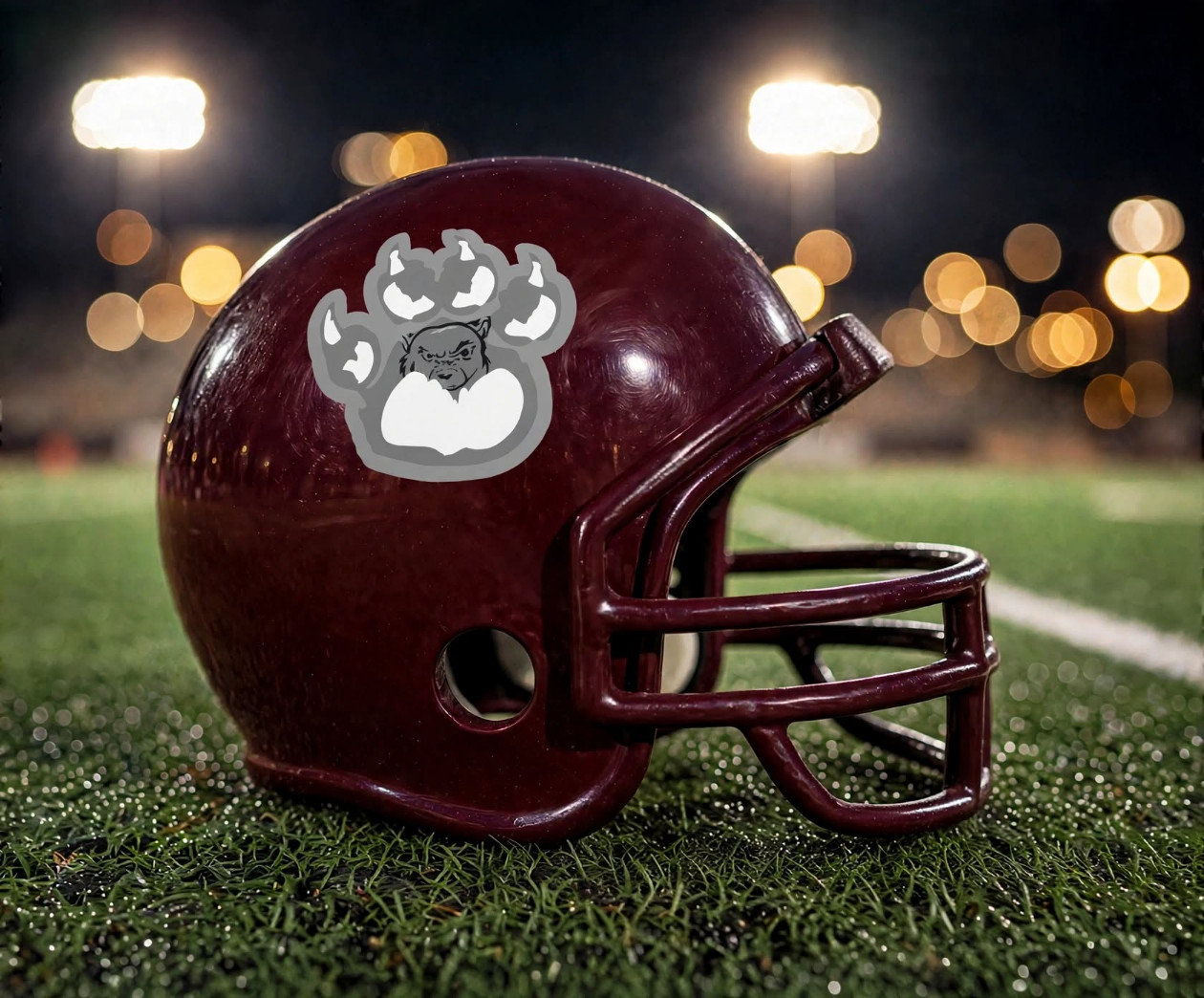 Sherman Bearcats custom spirit helmet