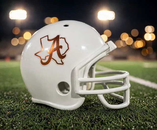 Alice Coyotes custom spirit helmet