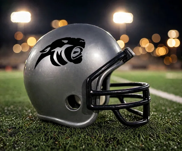 Austin Eastside Panthers custom spirit helmet