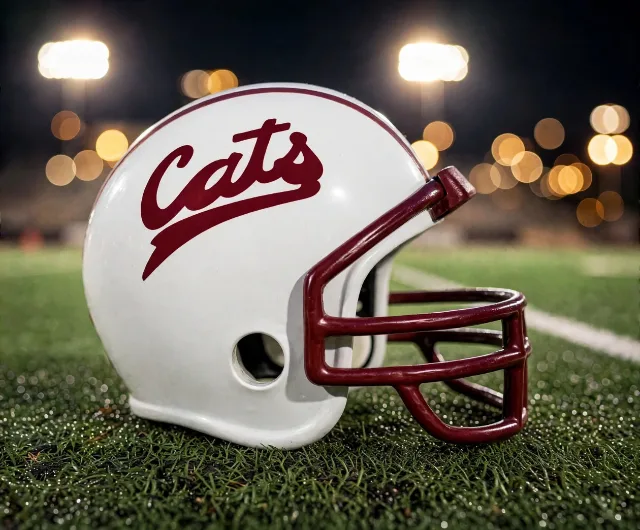 Corpus Christi Wildcats custom spirit helmet