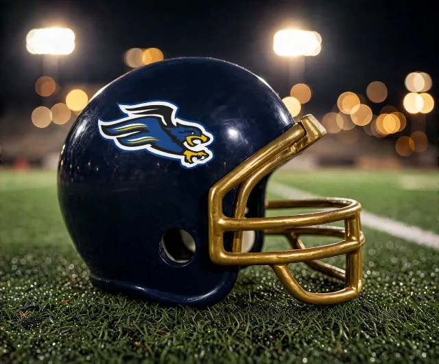 Dallas Fairhill Falcons custom spirit helmet