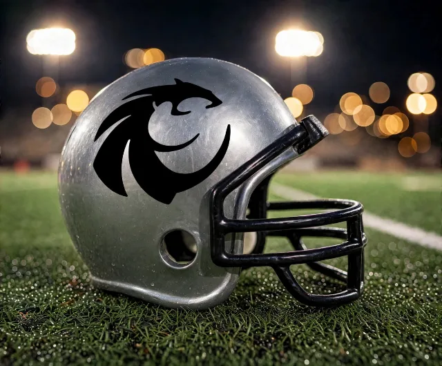 Denton Guyer Wildcats custom spirit helmet