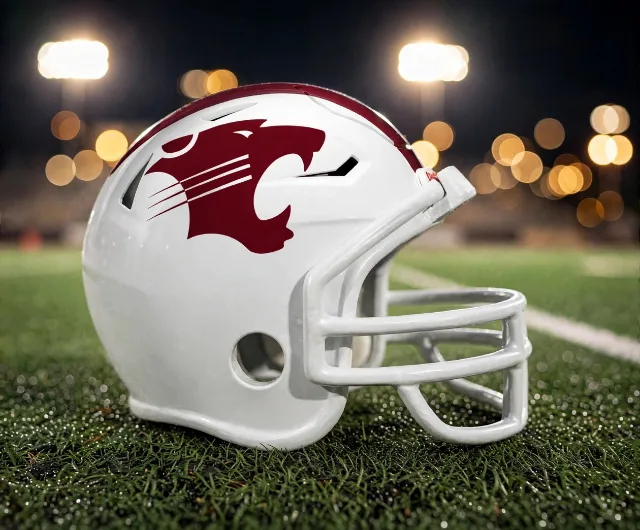 Hawley Bearcats custom spirit helmet