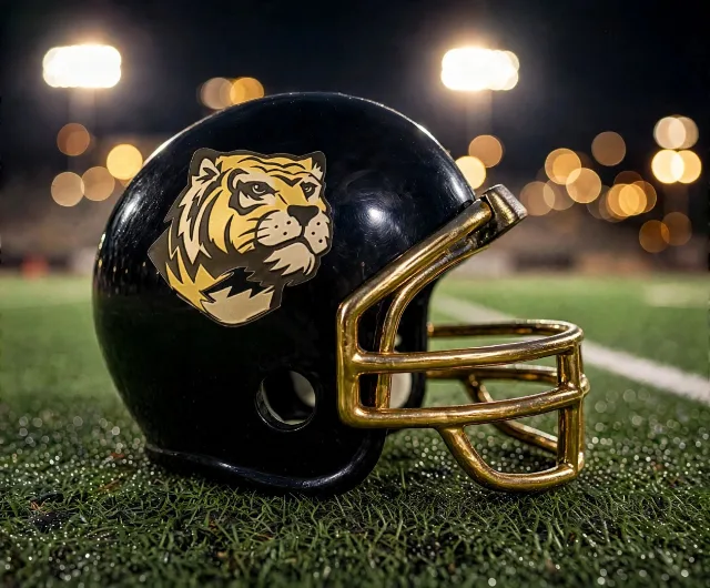 Houston St. Agnes Tigers custom spirit helmet