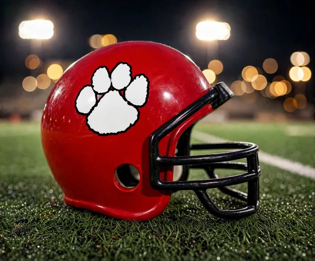 Mesquite Horn Jaguars custom spirit helmet