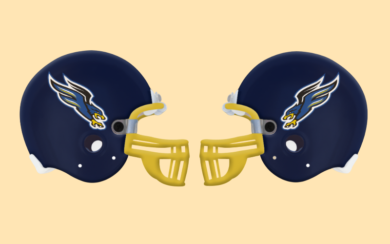 Dallas Fairhill Falcons Novelty Helmet by Spirit Helmet Texas