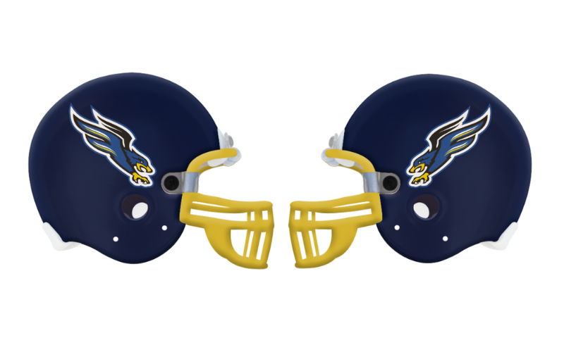 Dallas Fairhill Falcons Novelty Helmet – Spirit Helmet Texas