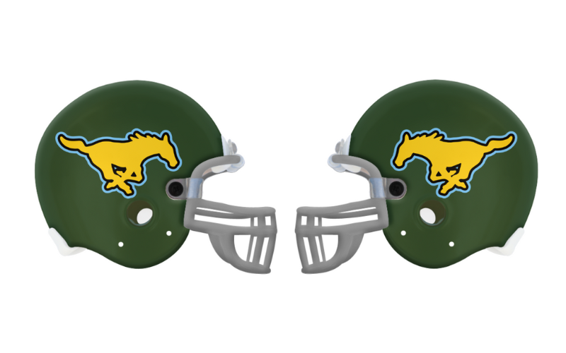 Novelty Helmets Fundraising Schools by Spirit Helmet Texas